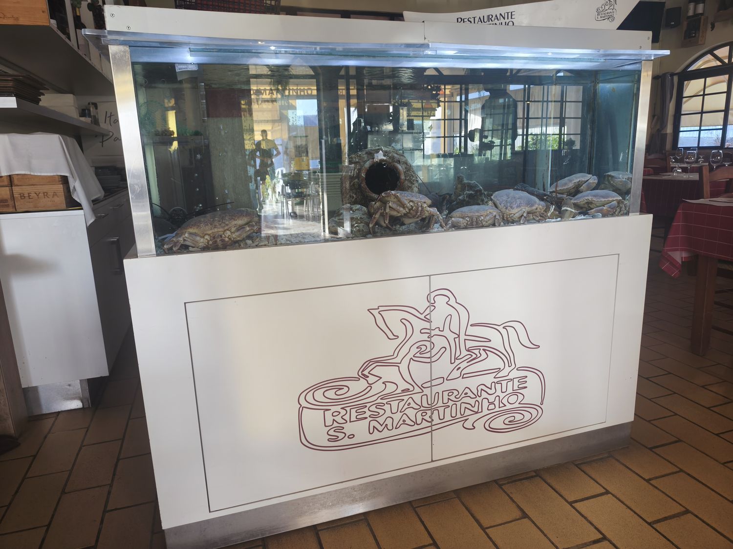 Aquário com marisco vivo no Restaurante São Martinho